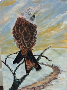 Pam, Red Kite, where's my Christmas dinner, acrylic.jpg
